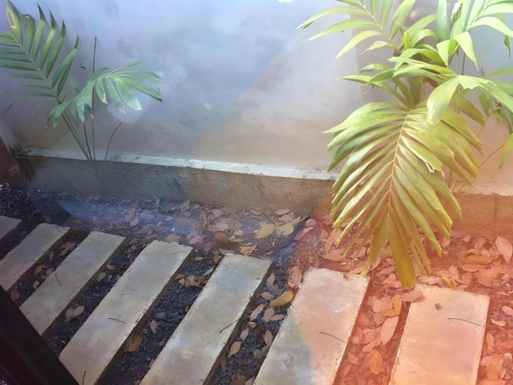 Secret Garden Trang Resort المظهر الخارجي الصورة